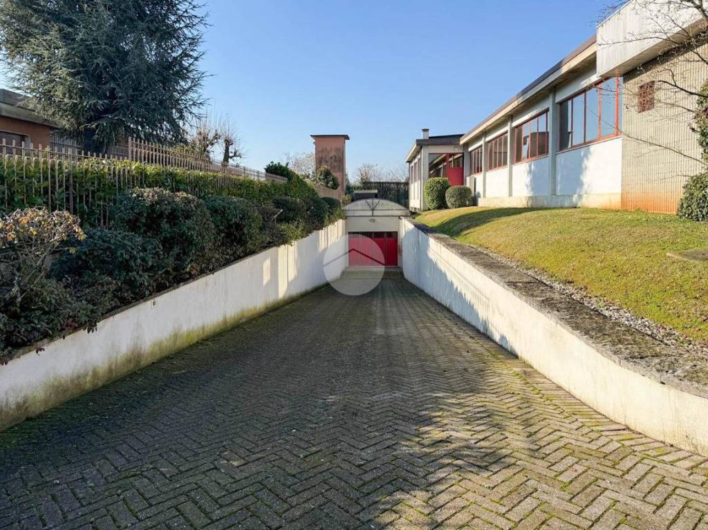 immagine annuncio 2 di 15