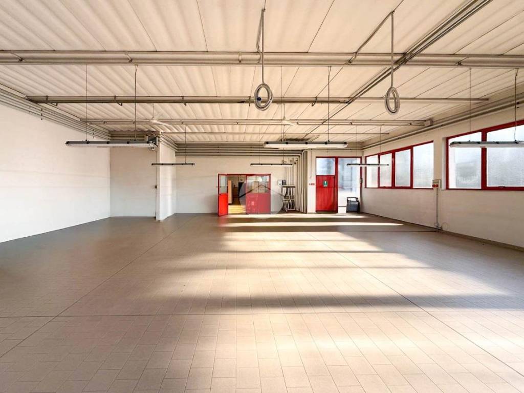 immagine annuncio 6 di 15