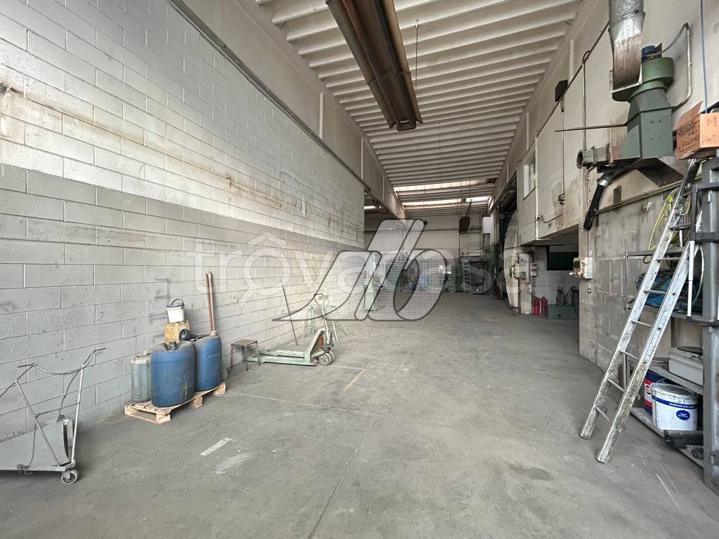 immagine annuncio 6 di 15