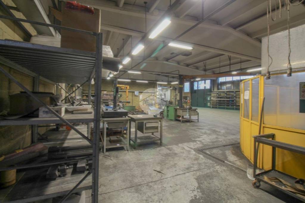 immagine annuncio 3 di 11