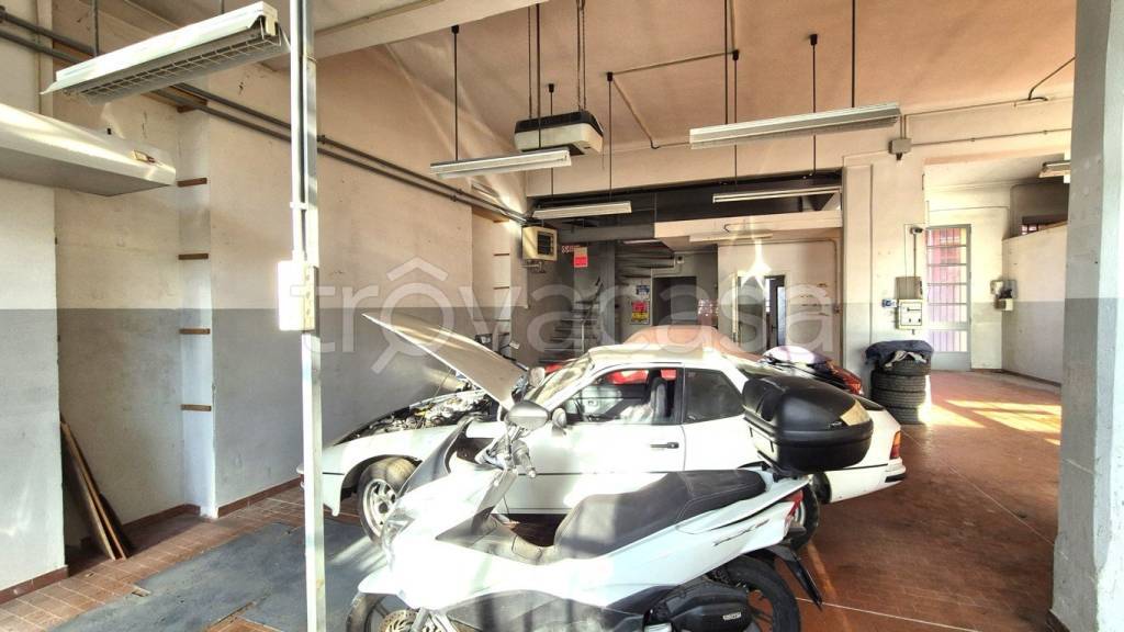 immagine annuncio 4 di 15