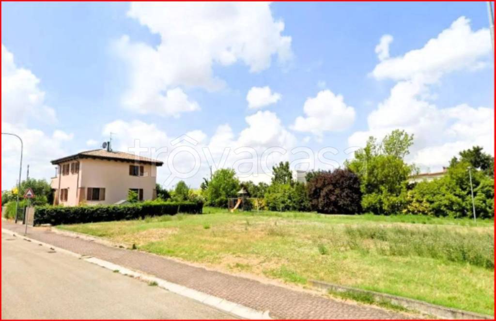 immagine annuncio 3 di 11