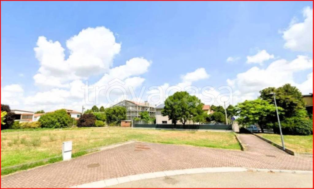 immagine annuncio 5 di 11