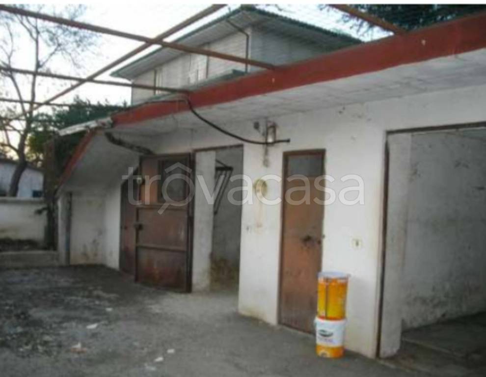 immagine annuncio 10 di 12