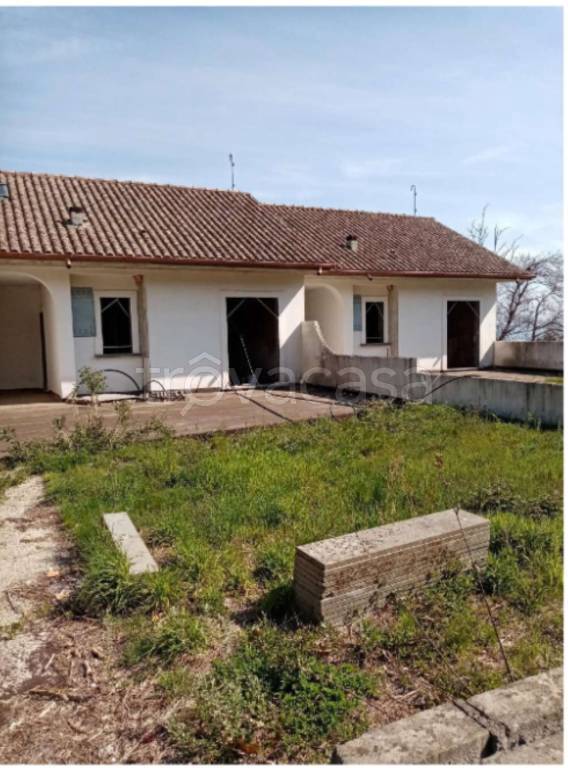 immagine annuncio 6 di 14