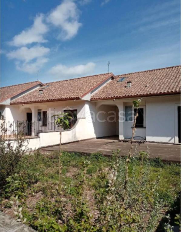 immagine annuncio 8 di 14