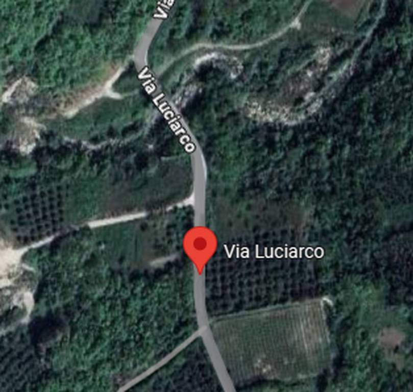 immagine annuncio 10 di 12