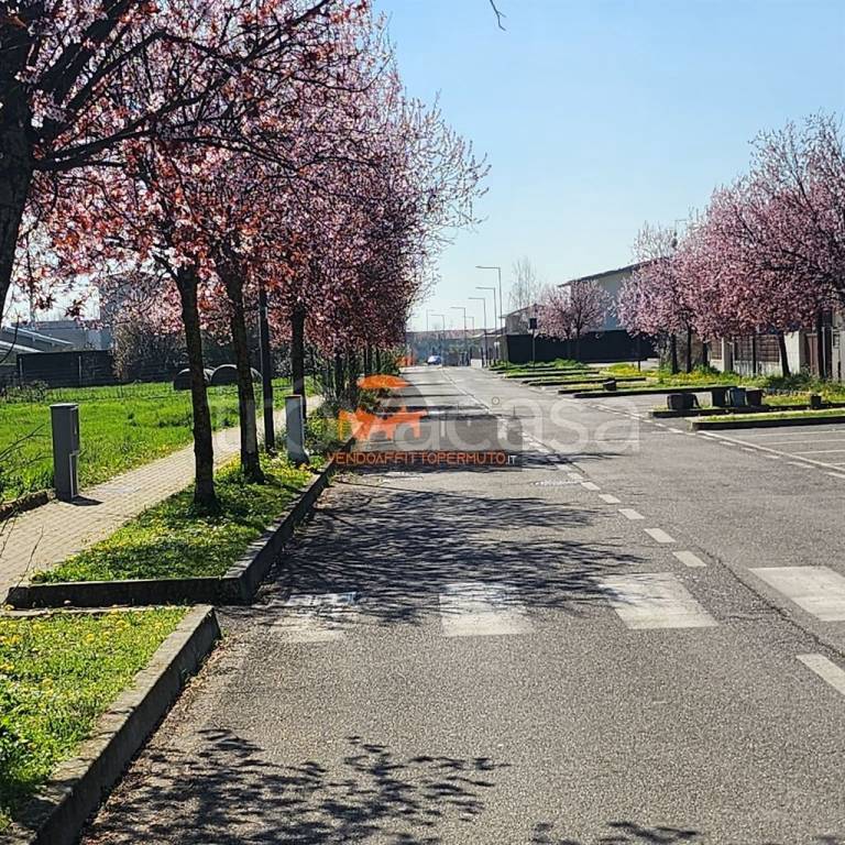 immagine annuncio 13 di 15