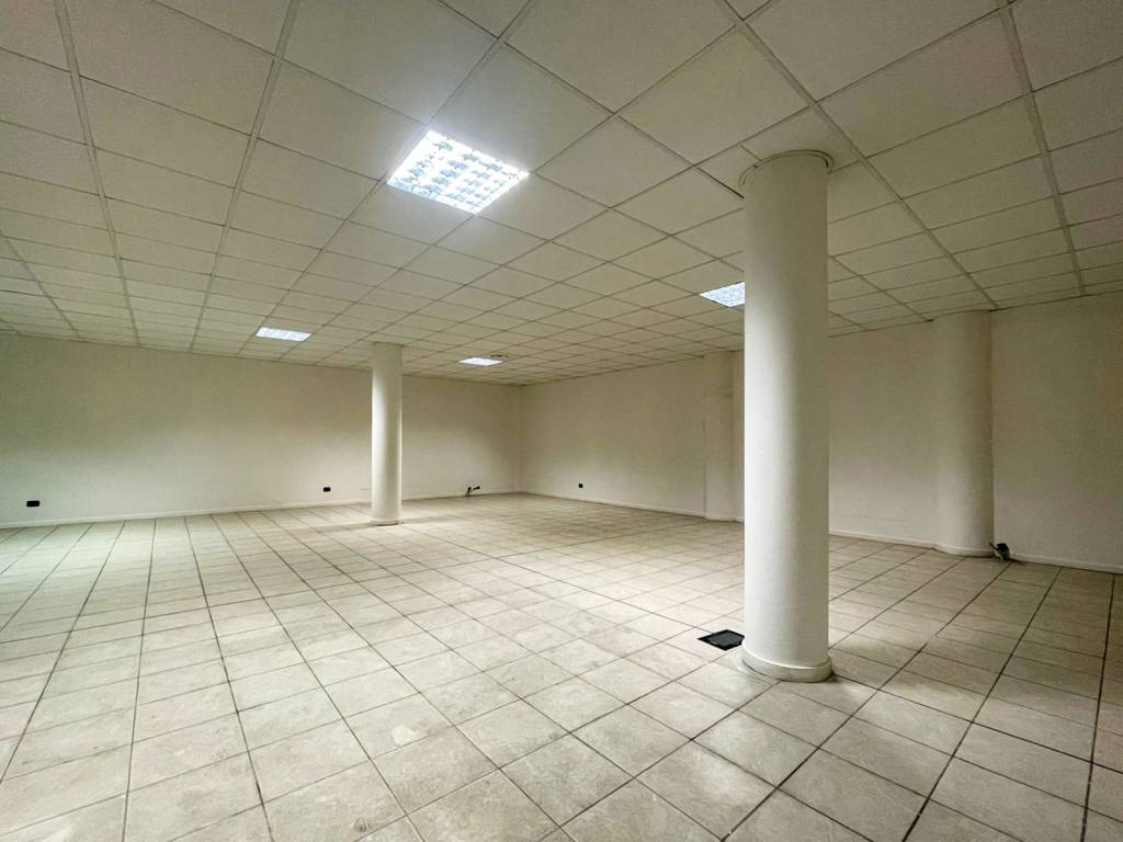 immagine annuncio 5 di 13