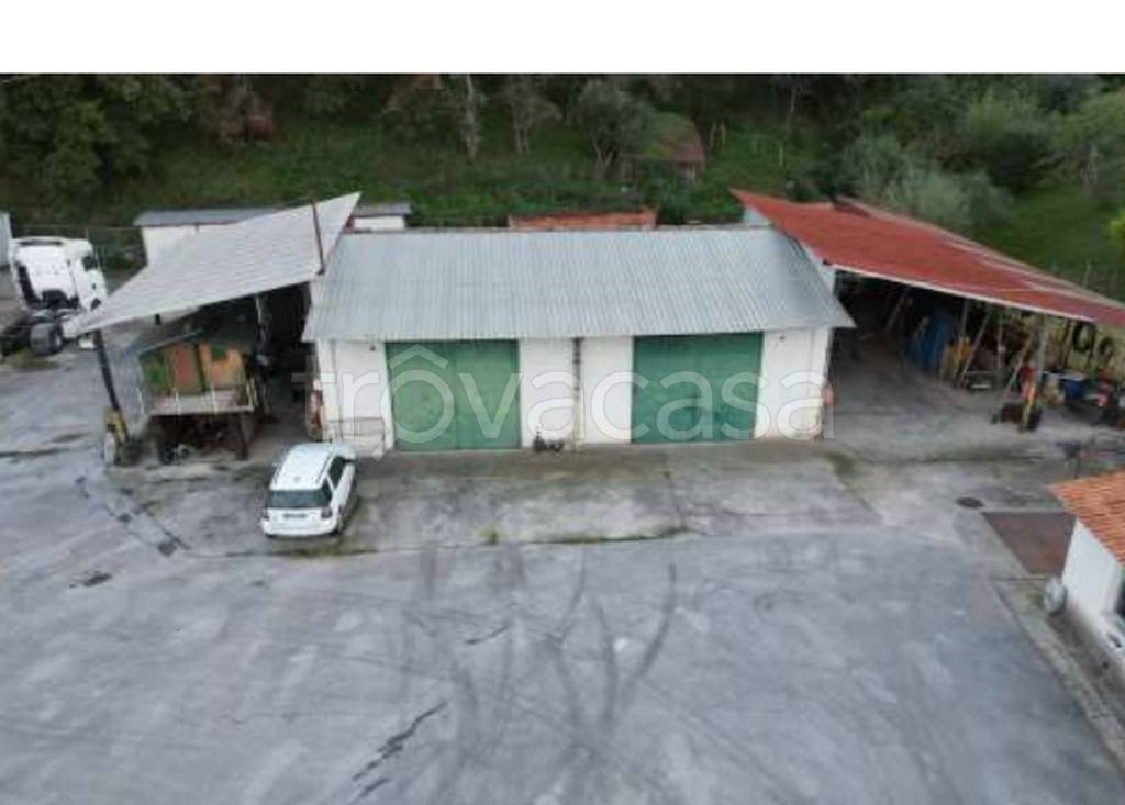 immagine annuncio 2 di 9