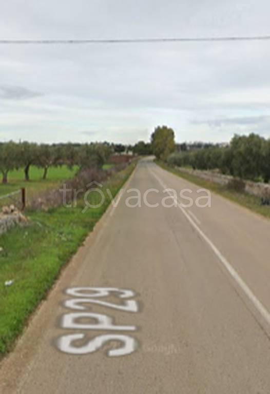 immagine annuncio 5 di 11