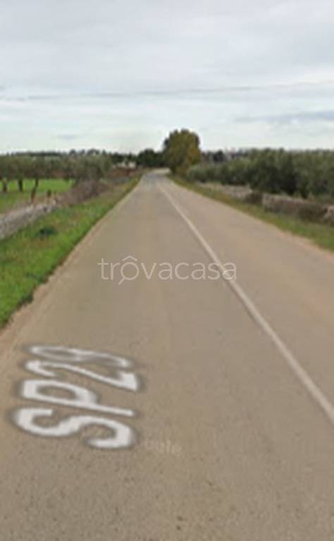 immagine annuncio 6 di 11