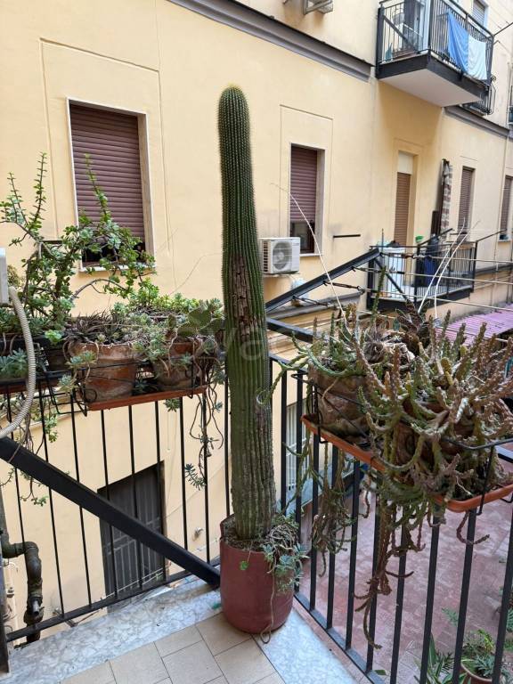 immagine annuncio 6 di 12