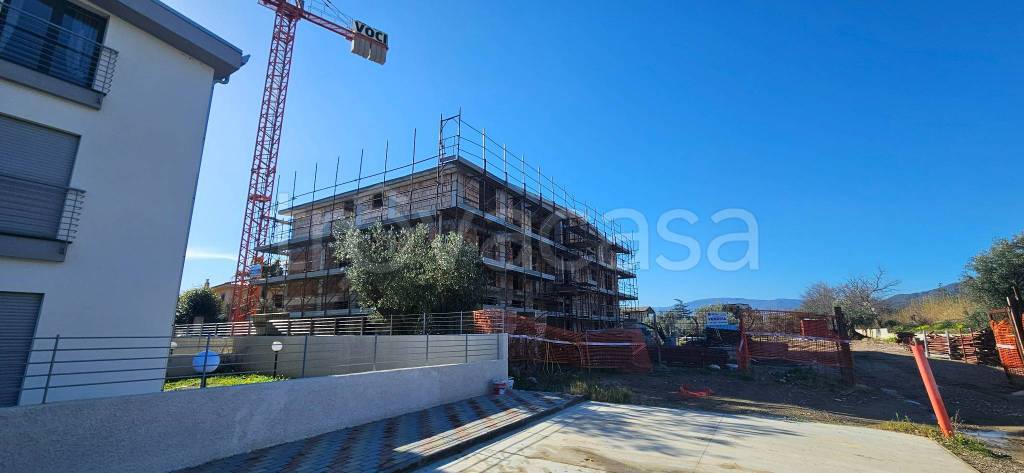 immagine annuncio 9 di 14