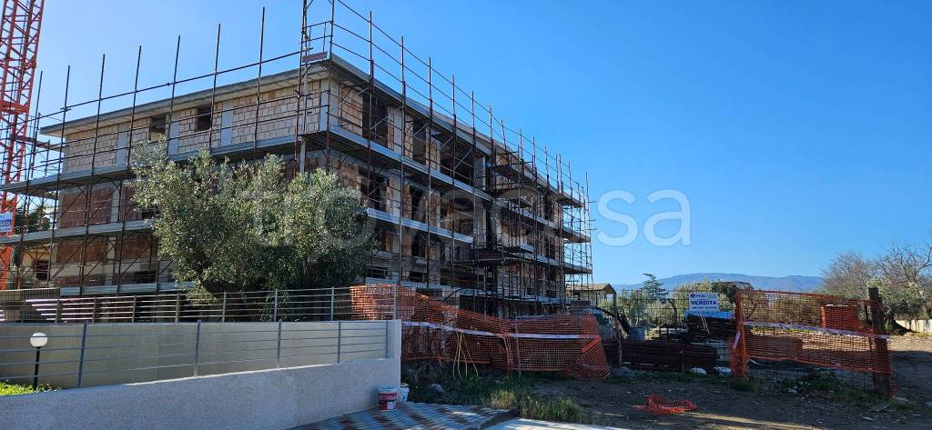 immagine annuncio 12 di 14