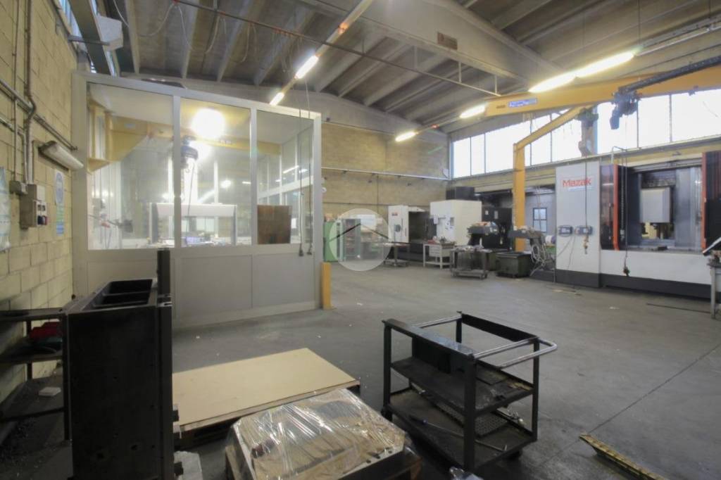 immagine annuncio 5 di 15