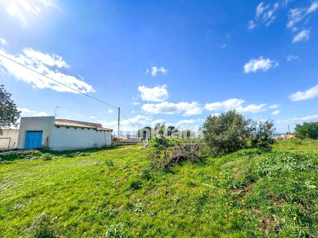 immagine annuncio 2 di 12