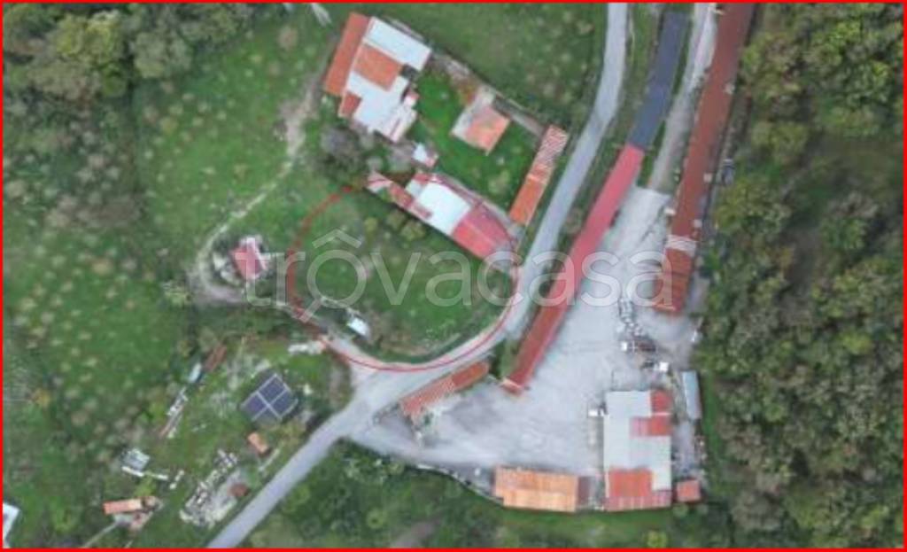 immagine annuncio 11 di 12