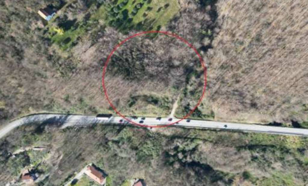 immagine annuncio 2 di 11