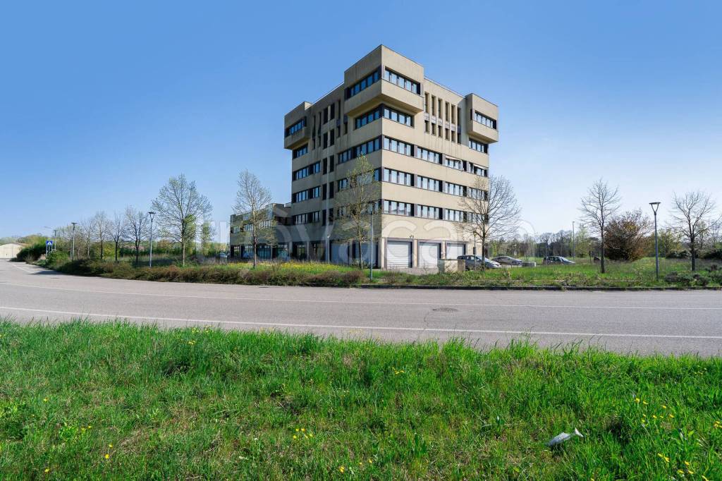 immagine annuncio 8 di 15