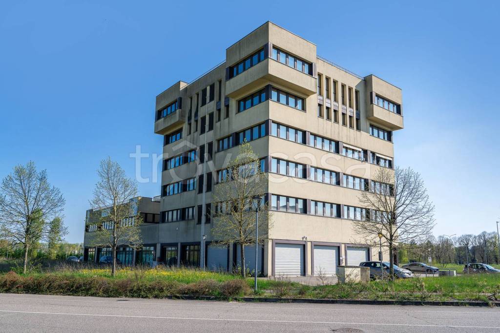 immagine annuncio 9 di 15