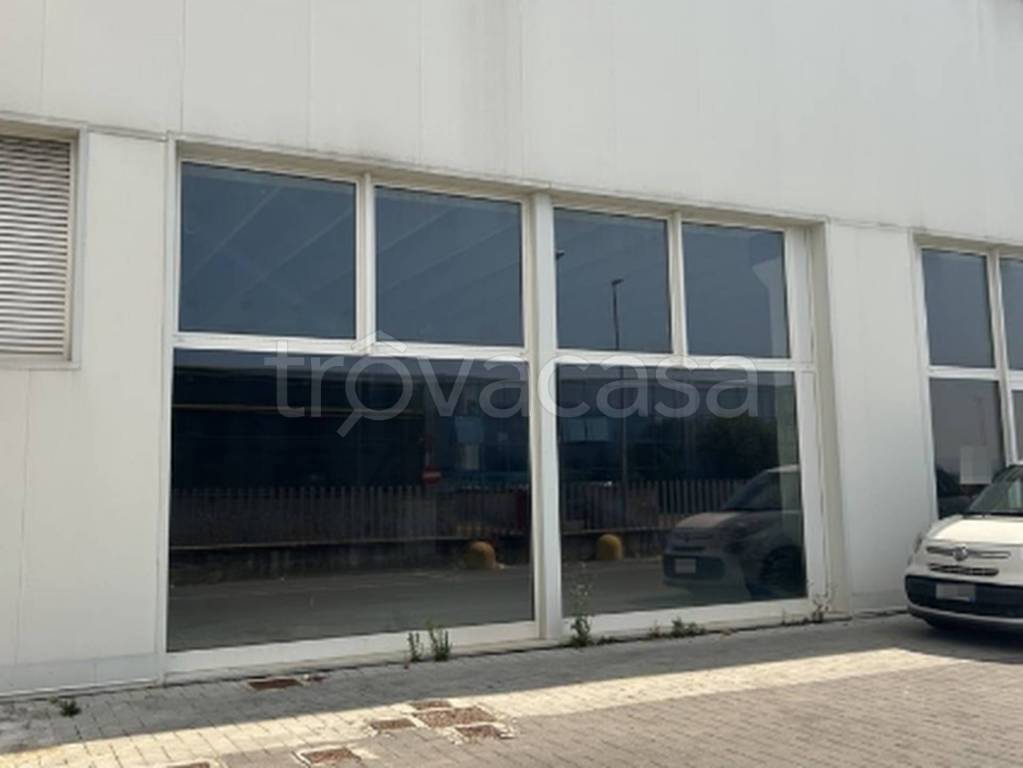 immagine annuncio 2 di 10