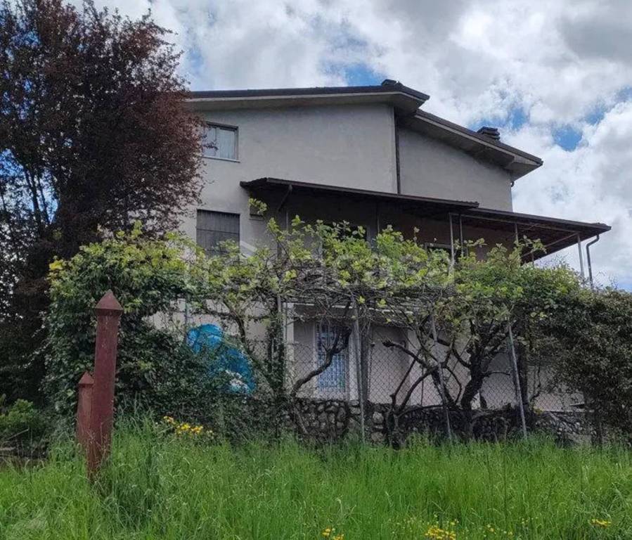 immagine annuncio 6 di 11