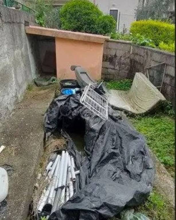 immagine annuncio 10 di 11