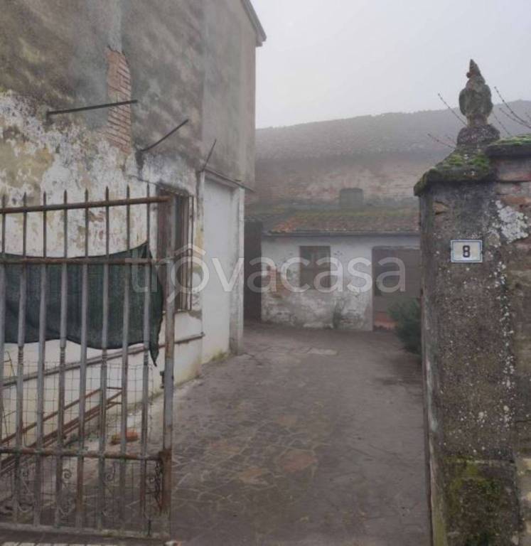 immagine annuncio 3 di 11