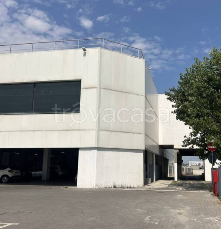 immagine annuncio 1 di 11