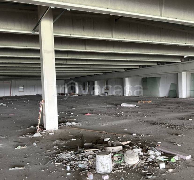 immagine annuncio 3 di 11