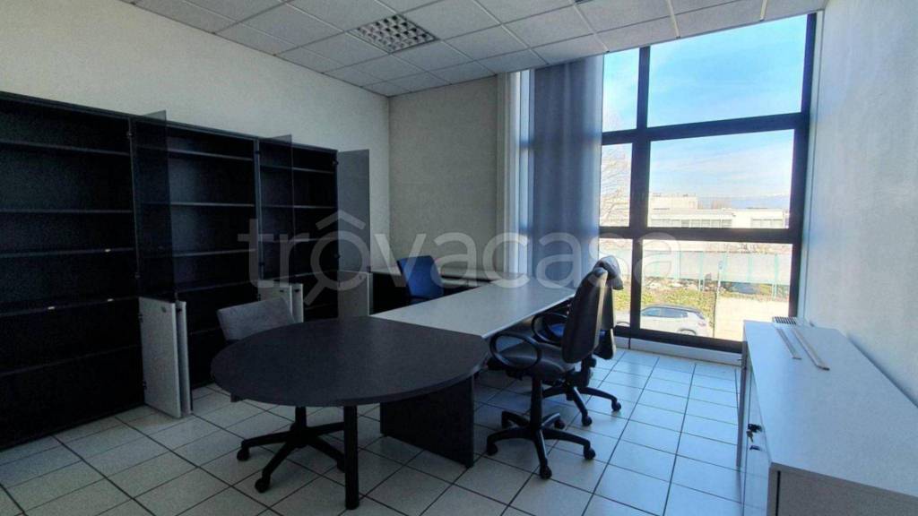 immagine annuncio 9 di 14