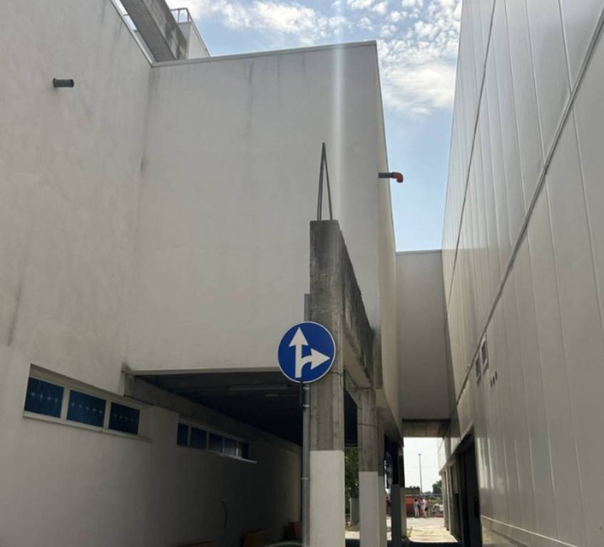 immagine annuncio 4 di 11