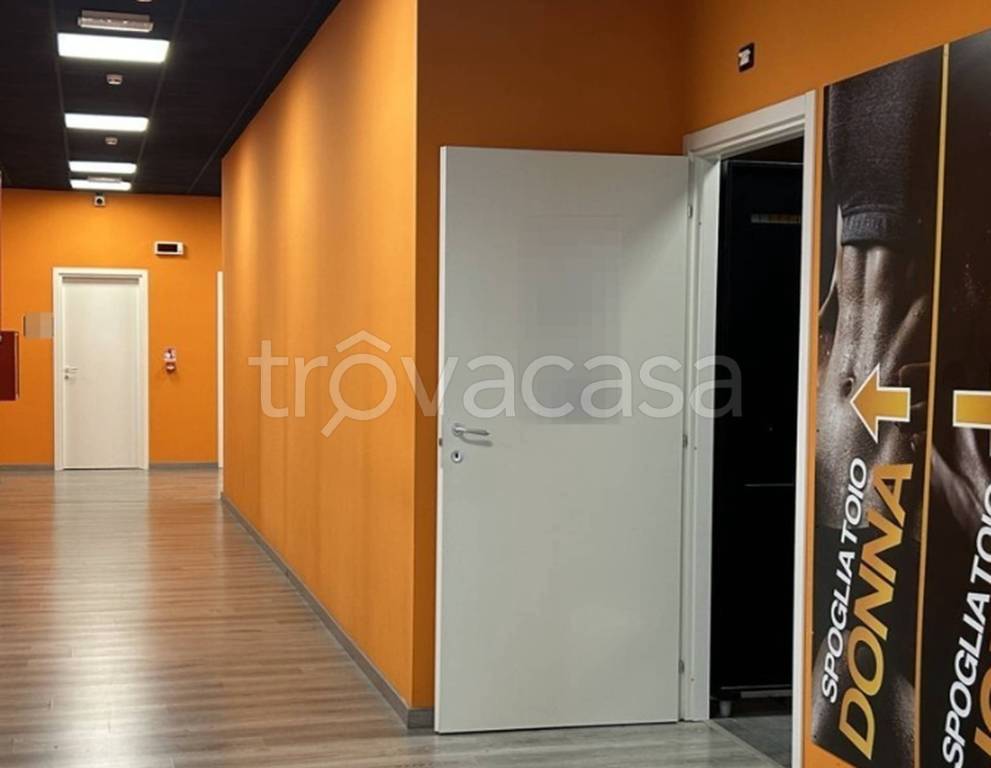 immagine annuncio 9 di 11