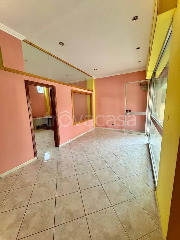 immagine annuncio 3 di 6