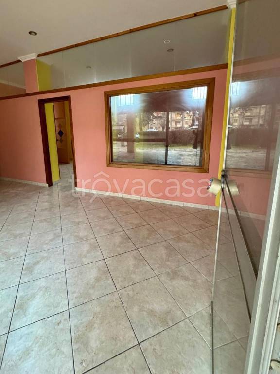 immagine annuncio 4 di 6