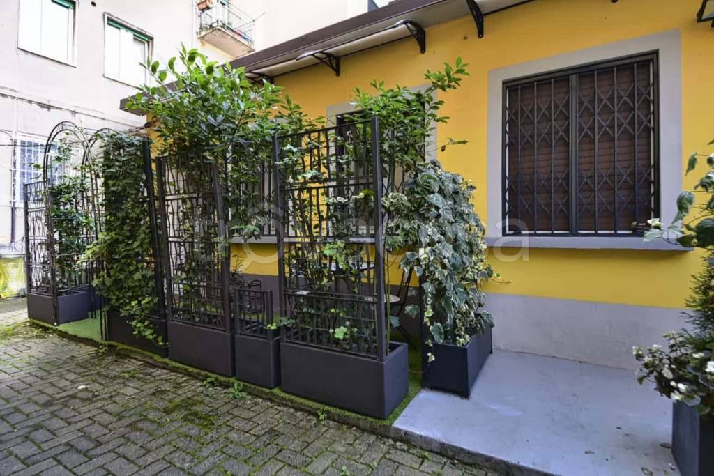 immagine annuncio 12 di 15