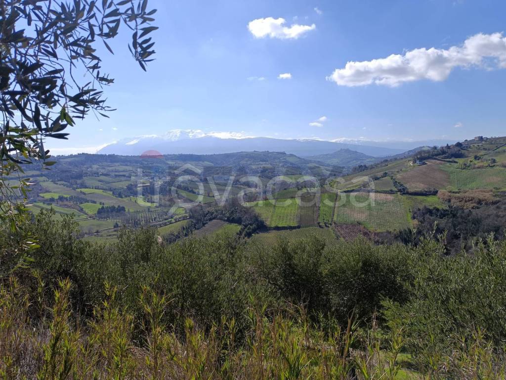 immagine annuncio 1 di 8