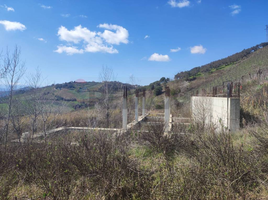 immagine annuncio 2 di 8