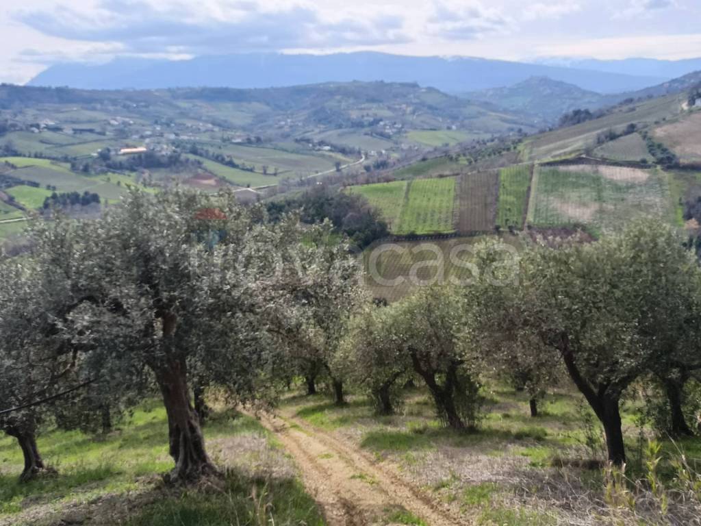 immagine annuncio 5 di 8