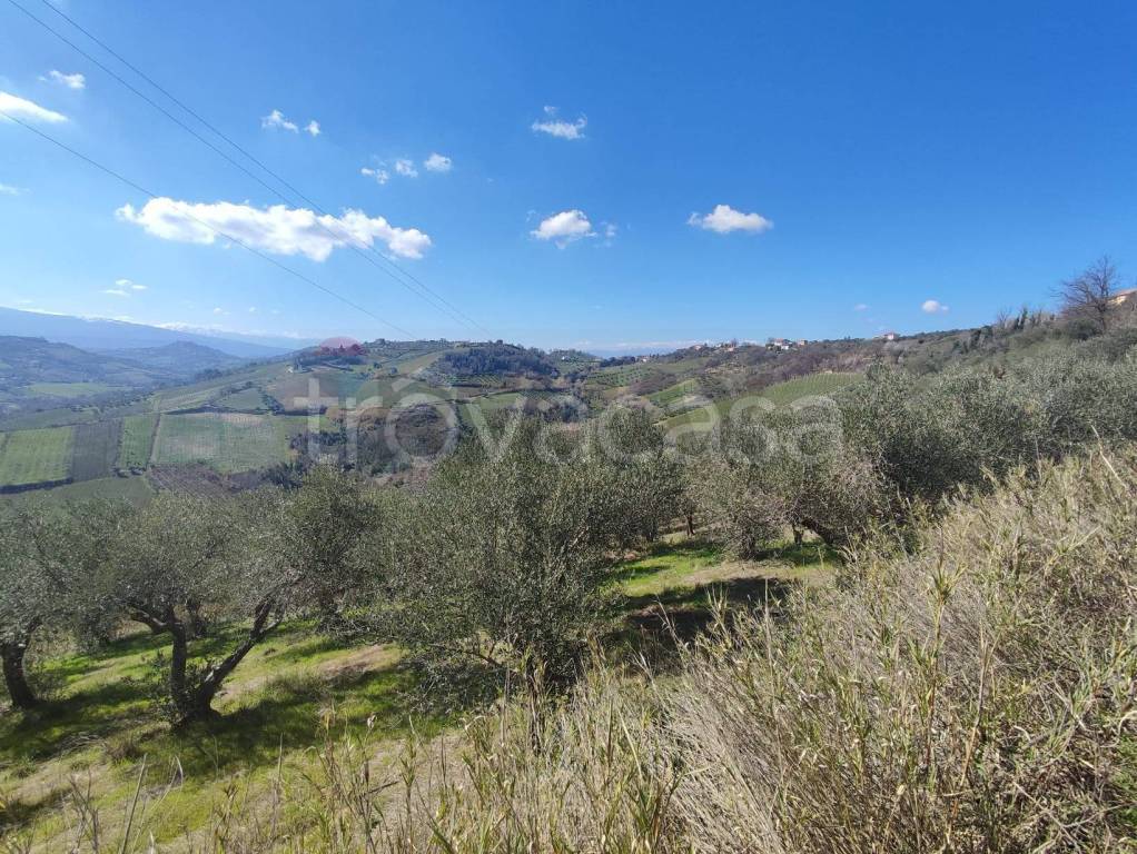 immagine annuncio 6 di 8