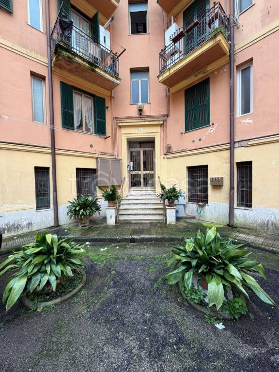 immagine annuncio 11 di 14