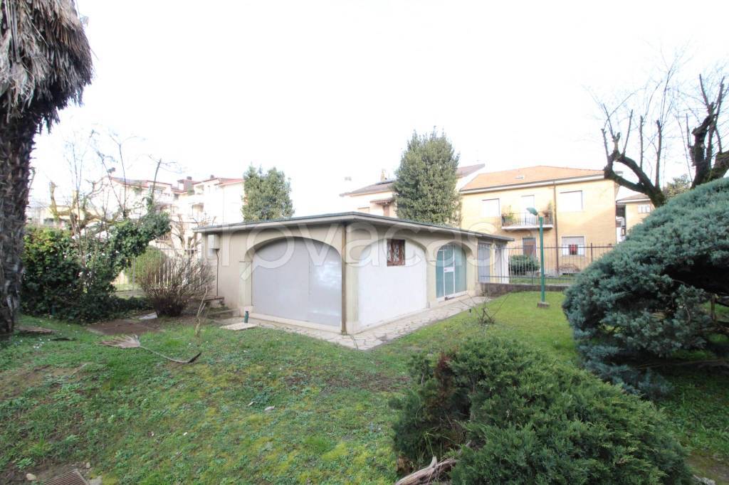 immagine annuncio 2 di 12