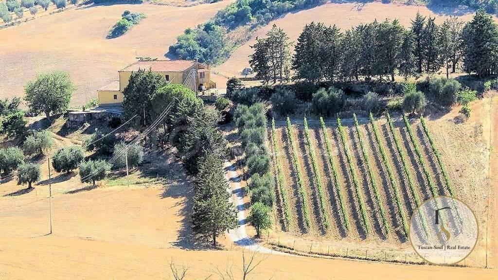 immagine annuncio 6 di 12