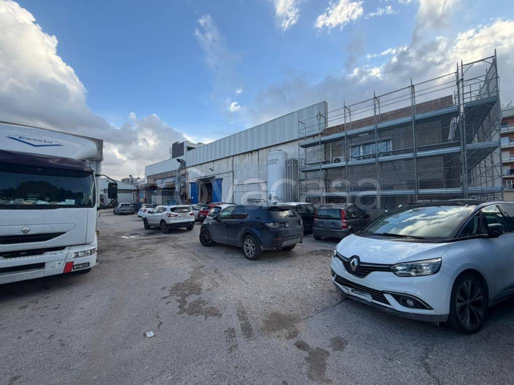 immagine annuncio 2 di 13