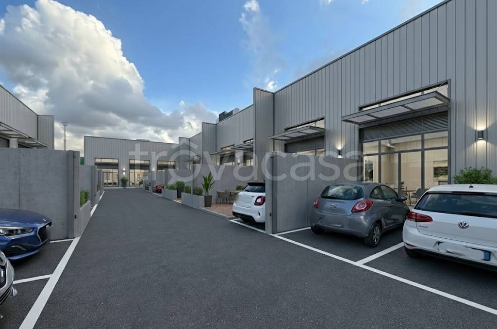 immagine annuncio 5 di 13