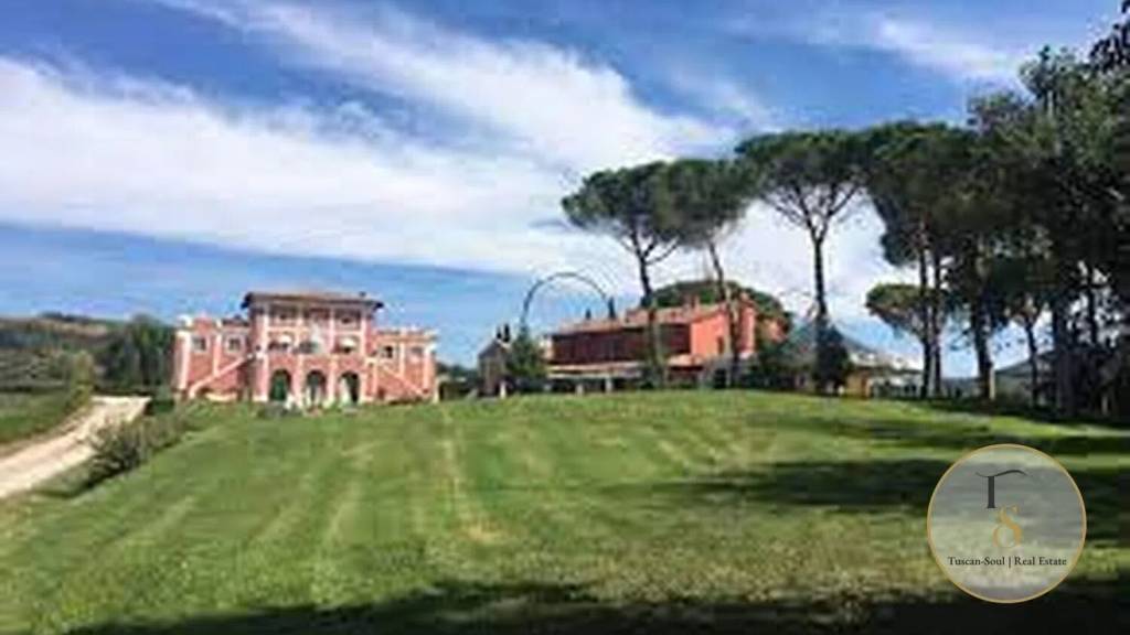 immagine annuncio 5 di 8