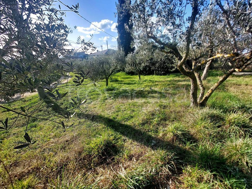 immagine annuncio 6 di 15