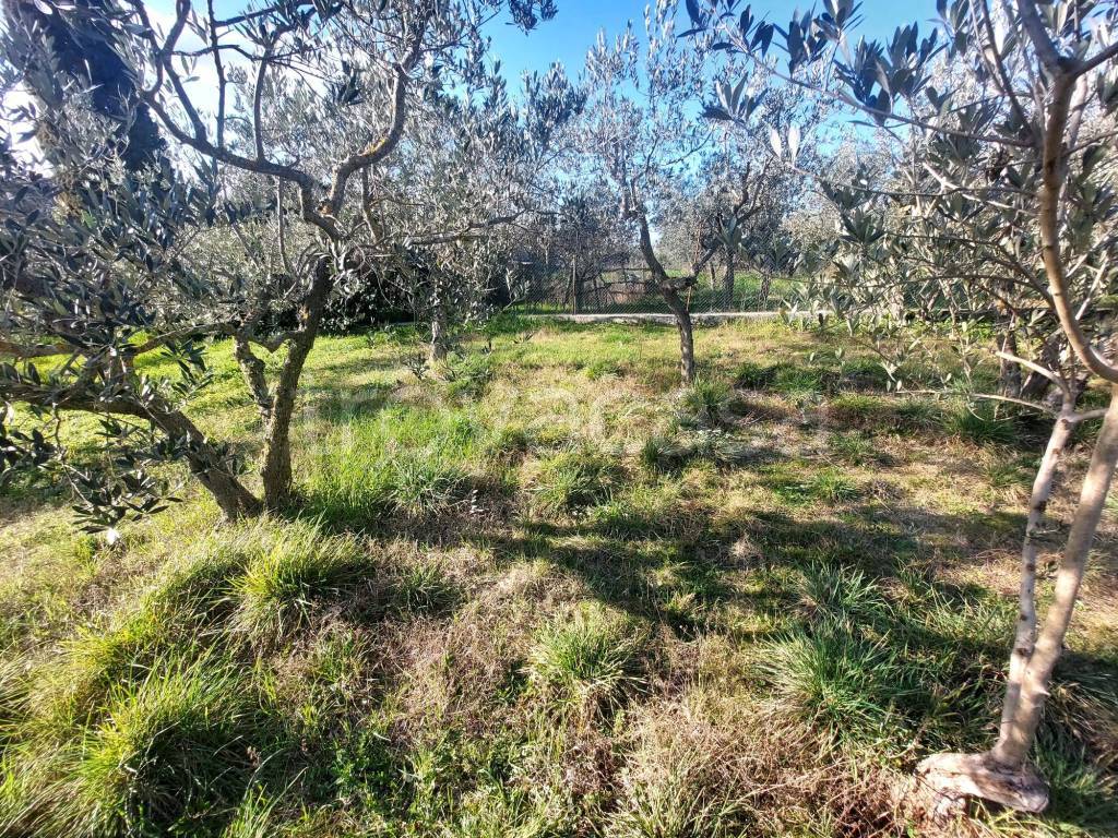 immagine annuncio 13 di 15