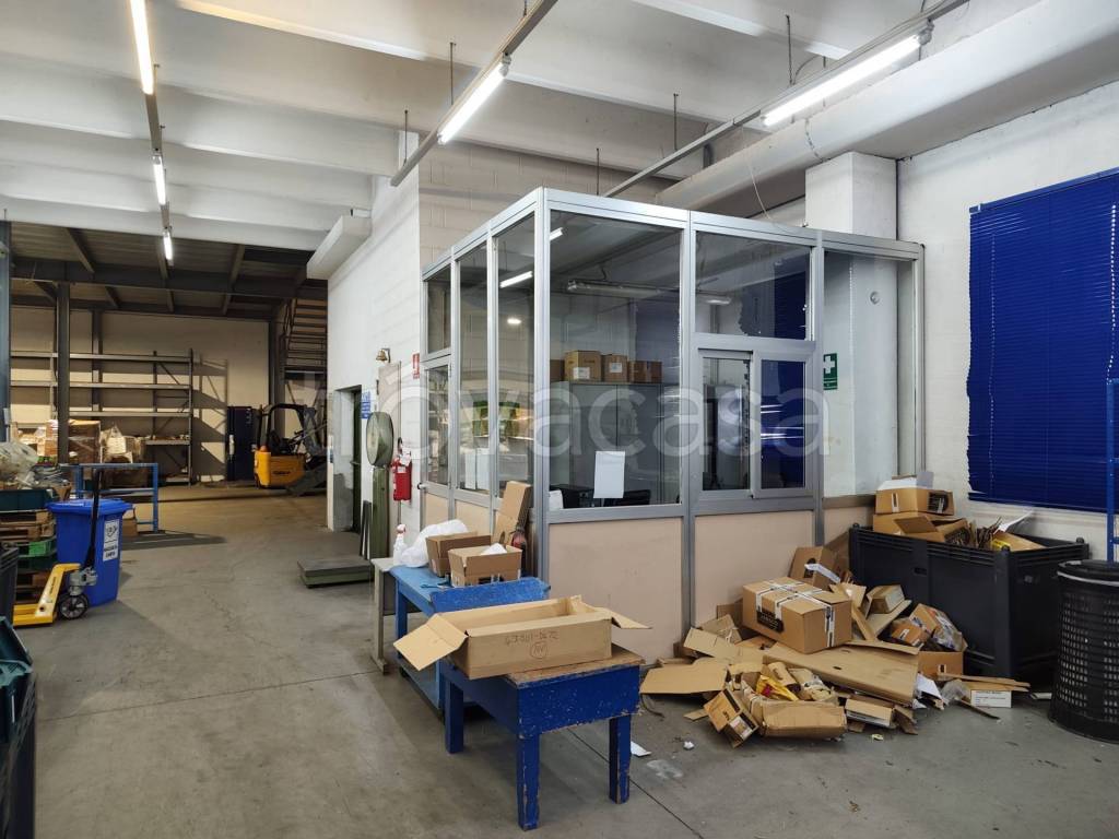 immagine annuncio 11 di 15